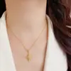 Collar Colgante Exquisito de Moda Versátil de Zirconia Starburst Japonés Coreano Cadena para Clavícula de Temperamento Lujo Ligero Simple para el Viaje Diario Cadena para Clavícula Mujeres