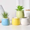 Vaso de Flor Suculenta Combinação de Cerâmica Vaso de Planta Cacto Tamanho de Polegar Suculenta Jardinagem Colmeia Planta Verde Feito à Mão Dehua