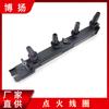 Adequado para bobina de ignição Peugeot Citroen Saina 597075 597098 9634131380 2526118