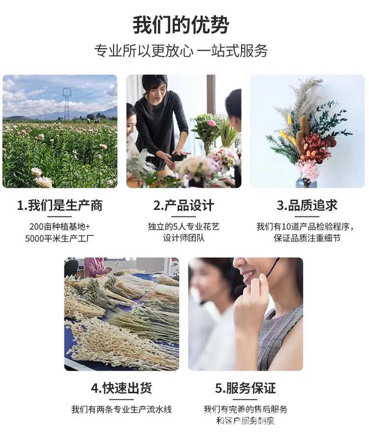 中文1688_03.jpg
