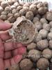 Albóndigas de tendón de res Chaozhou Albóndigas de tendón de res hechas a mano Guandong Albóndigas de olla caliente hervidas Ingredientes para barbacoa 180 g / paquete (8 piezas)