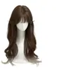 Peluca para Mujer que No Requiere Red, con un Aspecto Natural para el Día a Día, Corona Alta Esponjosa y Mechones Realistas