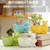 Vaso carnudo cerâmica dehua atacado vaso criativo grés polegar planta carnuda pequeno vaso de flores TEMU rotulagem