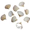 Galvanoplastia Dobladillo pequeña vieira borde chapado en oro vieira natural aretes colgantes semiacabados Accesorios Venta al por mayor