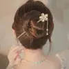 Avançado Sentido Flor Borla Retrô Grampo de Cabelo Parte de Trás da Cabeça Disco de Cabelo Liga de Cabelo Grampo de Cabelo Antigo Hanfu Acessórios de Adorno de Cabeça Cabelo Grampo de Cabelo