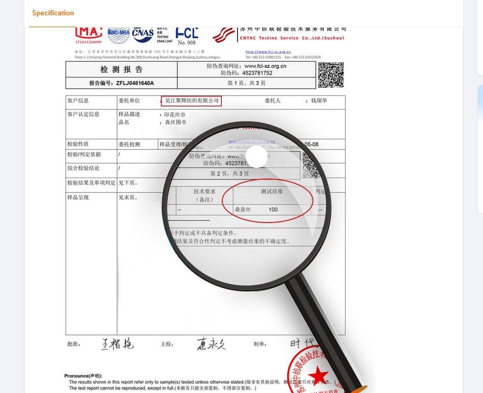 丝巾中文版检测报告（改）2