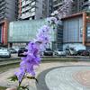 Simulación de delphinium individual, venta al por mayor, comercio exterior, leffei delphinium, amarillo violeta, decoración de boda, flores falsas