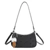 Bolso Pequeño Estilo Coreano para Mujer, Nueva Moda Otoño e Invierno 2025, Diseño de Nicho, Bolso Cruzado con Cadena, Bolso de Mano Pequeño para Mujer para el Trabajo