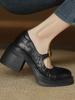 Zapatos Mary Jane de una sola capa con plataforma gruesa y tacón grueso, estilo británico retro, para mujer, primavera y otoño, color antiguo pulido, puntera redonda, versátiles, de boca poco profunda, tacón alto