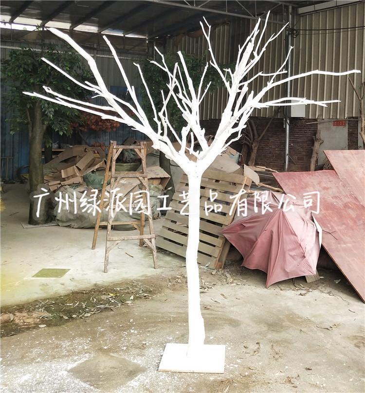 枯树615.jpg