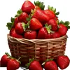 Papel Pintado Adhesivo para Frutas Pegatinas Decoración de Restaurante Pegatinas para Gabinetes de Cocina Pegatinas de Pared Grandes Impermeables Fresa