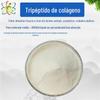 Tripeptídeo de colágeno de peixe marinho 99% tripeptídeo de colágeno de peixe de bacalhau solúvel em água de qualidade alimentar tripeptídeo de peixe ativo peptídeo molecular pequeno