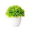 Bonsái pequeño para decoración de oficina, hogar, sala de estar, flores artificiales, hierba del amor, venta al por mayor