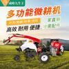 Maquinaria Agrícola Chengfeng Gasolina Diésel Micro-Azada de Mano Azada Rotatoria Zanjadora Fertilizadora Fertilizante Desmalezadora Trituradora de Hierba Tractor