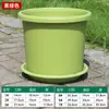 Maceta Gruesa Modelo Nuevo para Cuatro Estaciones, Maceta Grande de Resina PP de Galón para Control de Raíces, Adecuada para Balcón de Casa, Plantación de Rosas y Hortensias