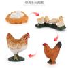 Simulação modelo animal atacado galinha pato ganso borboleta tartaruga rã ciclo de crescimento Montessori ensino auxiliares ornamentos artesanais
