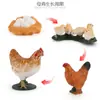 Brinquedo modelo de animal pequeno simulação ciclo de vida crescimento sapo tartaruga frango Montessori material didático jardim de infância atacado