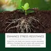 Solución Nutritiva para Plantas Moonspry para el Mantenimiento Diario de Flores en Maceta de Jardín y el Sistema Radicular de las Plantas