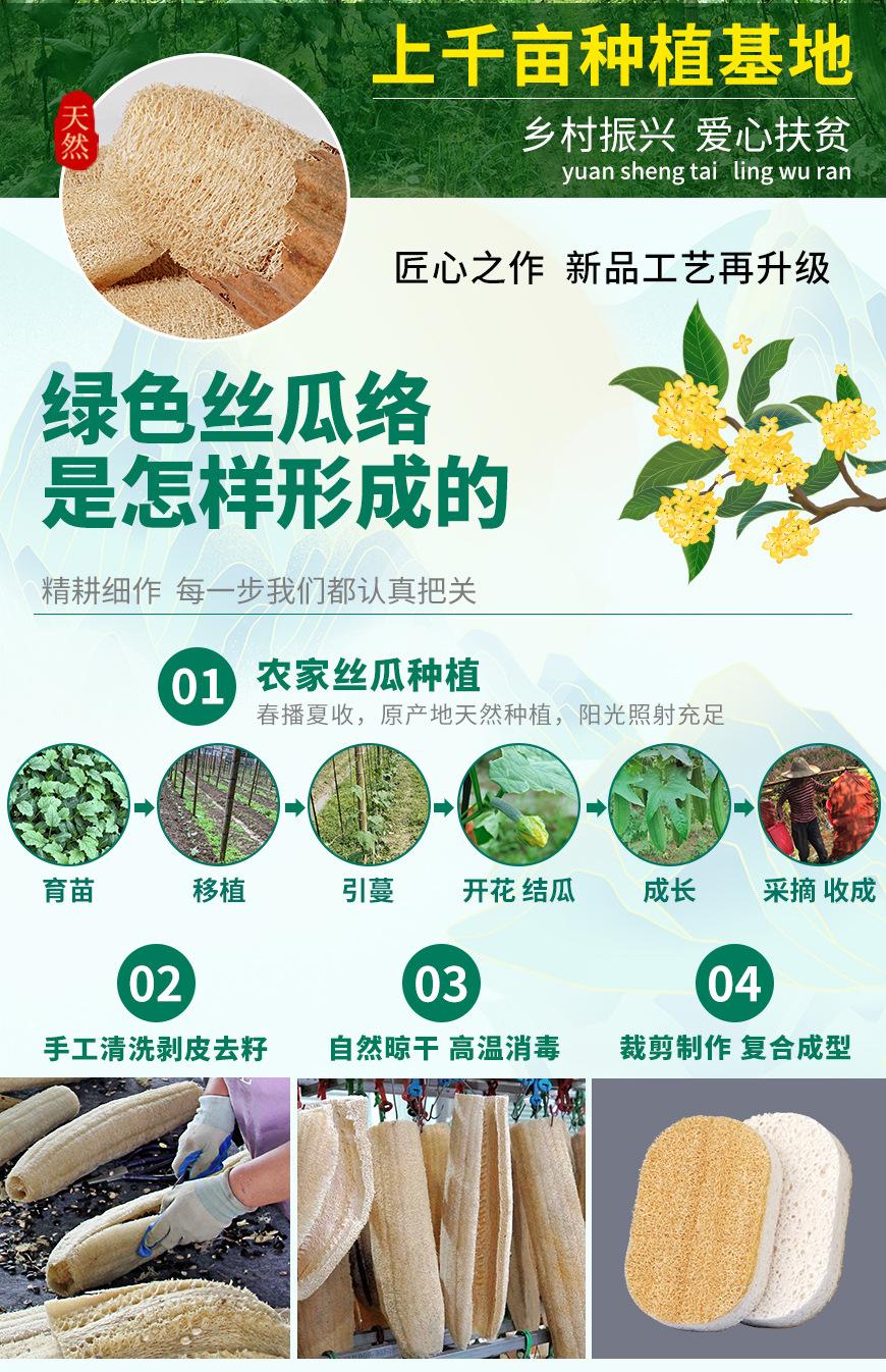 丝瓜基地_02木浆棉小椭圆.jpg