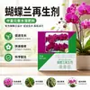 Agente Phalaenopsis, árbol de la fortuna floral, planta verde en maceta, líquido de resurrección, universal para estrés lumínico, amarillamiento y crecimiento de suculentas