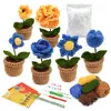Paquete de Materiales de Crochet Más Vendido de Amazon Serie de Plantas Adornos de Flores en Maceta Regalos Soporte Dropshipping