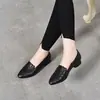 Zapatos Planos de Punta Baja para Mujer 2026 Otoño Nuevo Estilo Zapatos Planos Bordados Temperamento Simple Zapatos de Trabajo para Mujer Zapatos Planos de Tacón Grueso para Mujer