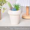 Tetera de Porcelana Blanca Dehua Maceta Suculenta Blanco Puro Jardinería Moderna para el Hogar Cerámica Maceta Pequeña Transfronteriza Simple Maceta para Suculentas