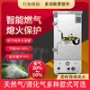 Máquina de Gabinete de Cocción al Vapor de Gas Licuado de Ahorro de Energía, Vaporera Comercial Totalmente Automática, Máquina de Cocción al Vapor de Gas Natural para Tamales y Arroz en Comedores