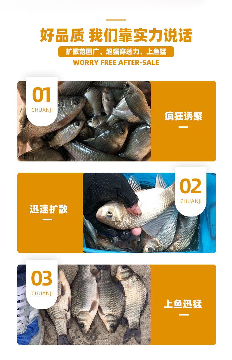 金蝉_03.jpg