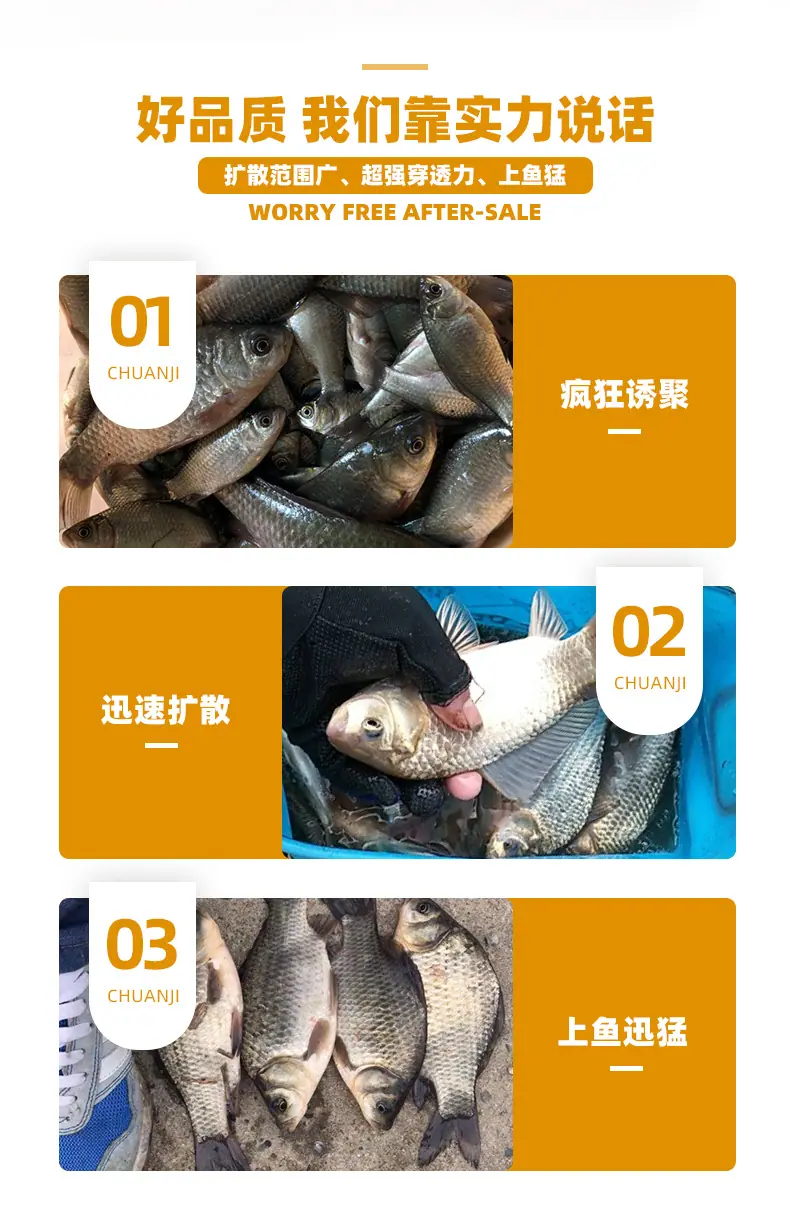 金蝉_03.jpg?x-oss-process=image/format,png