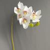 Orquídea magnolia de siete cabezas simulada en 3D, modelo de habitación moderna, diseño de recuerdo de boda de celebridades de Internet, flores artificiales decorativas