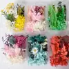 Materiales para Flores Flotantes DIY Flores Secas Flores Preservadas Paquete de Materiales Florales Mixtos Actividades de Team Building para Empresas Flores al por Mayor Flores Hechas a Mano