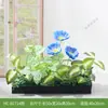 Combinación de paisajismo con plantas verdes artificiales, jardineras, maceteros, decoraciones de flores artificiales, decoración de paisaje con plantas artificiales para escaparates de centros comerciales, interior y exterior