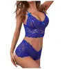 Comercio exterior Europeo y Americano AliExpress conjunto de lencería sexy con tirantes de encaje ajustables y diseño transparente