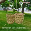 Bambú tejido tubo de bambú pequeña batata jaula de celebridad de internet molde de helado registro portavasos de producto de bambú portavasos de helado otro