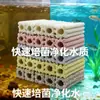 Casa bacteriana de cinco em um de tamanho grande, tijolos de cultivo de bactérias, material de filtragem para lago de peixes, bactérias nitrificantes, material de filtragem para aquário no atacado, cerâmica
