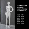 Mannequin Branco Fosco Mannequin de Corpo Inteiro para Lojas de Roupas Masculinas e Femininas Adereços de Vitrine Mannequin Humano Mannequin Masculino Mannequin Feminino Mannequin Infantil