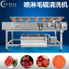 Máquina lavadora de cepillo para limpieza de lodo de ostra y vieira Temai, rodillo de pelo para frutas y verduras paralelo, máquina lavadora peladora en stock, suministro