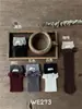 WE273 Calcetines de estilo coreano para niñas hasta la pantorrilla, 26 calcetines nuevos para niños de otoño/invierno, con bloques de color, puño de canalé doble, etiqueta de tela de encaje, calcetines largos