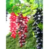 Racimo de uvas de simulación fruta de simulación uvas de plástico fruta falsa modelo accesorios planta verde decoración de interiores colgante