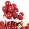 Atacado 2,2g Balão vermelho romã de 10 polegadas Decoração de casamento e festa de aniversário Suprimentos Balão Vermelho Gema Fosco Dupla Camada
