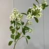 Ramas de Flores Artificiales para Arreglos Florales de Interior, Decoración de Escenas y Creación de una Atmósfera Transfronteriza con Ramas Secas