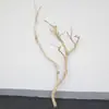 Galho Seco de Tronco Pendurado na Parede Madeira Maciça Descascada Anti-corrosão Galhos Mortos Decoração de Arte Floral Feita à Mão Ornamento Teto de Madeira Morta