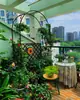 Arco de Hierro Antióxido Soporte para Flores Trepadoras Soporte para Uvas Trepadoras Soporte para Rosas Arco Exterior Soporte para Flores Soporte para Plantas Trepadoras