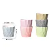 Vaso de cerâmica carnuda direto da fábrica Flor de macaron seis cores Planta carnuda Cacto em vaso Decoração de casa Vaso de flores