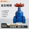 Válvula Jianghao Fornecendo Válvula Gaveta Rosqueada de Ferro Dúctil com Vedação Macia Dn15-Dn40