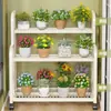 Estante para Flores Estante de Almacenamiento Estante para Flores de Balcón Sala de Estar de Pie Hierro Escalonado Multicapa Estante para Macetas de Plantas Suculentas Flores