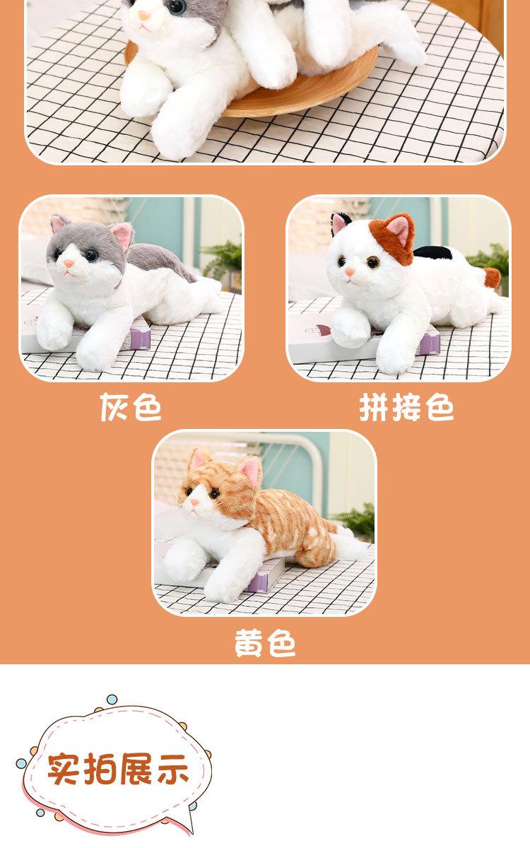 详情页_03.jpg