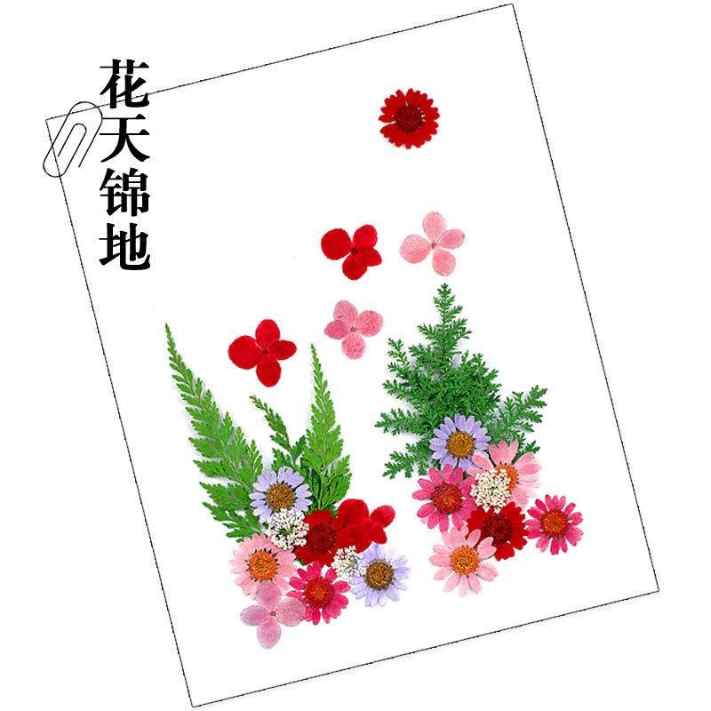 干花材料包-花天锦地.jpg