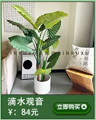 散尾树